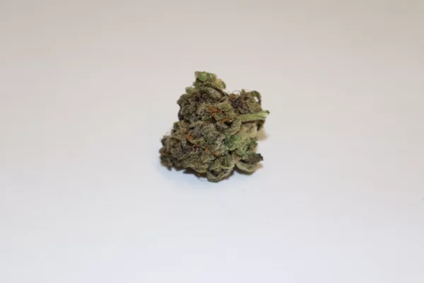 Secret Cookies cannabis strain buds with orange hairs on white background