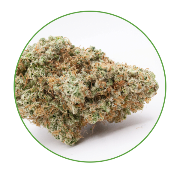Picture of Mango Sour cannabis strain with vibrant green buds and orange pistils.